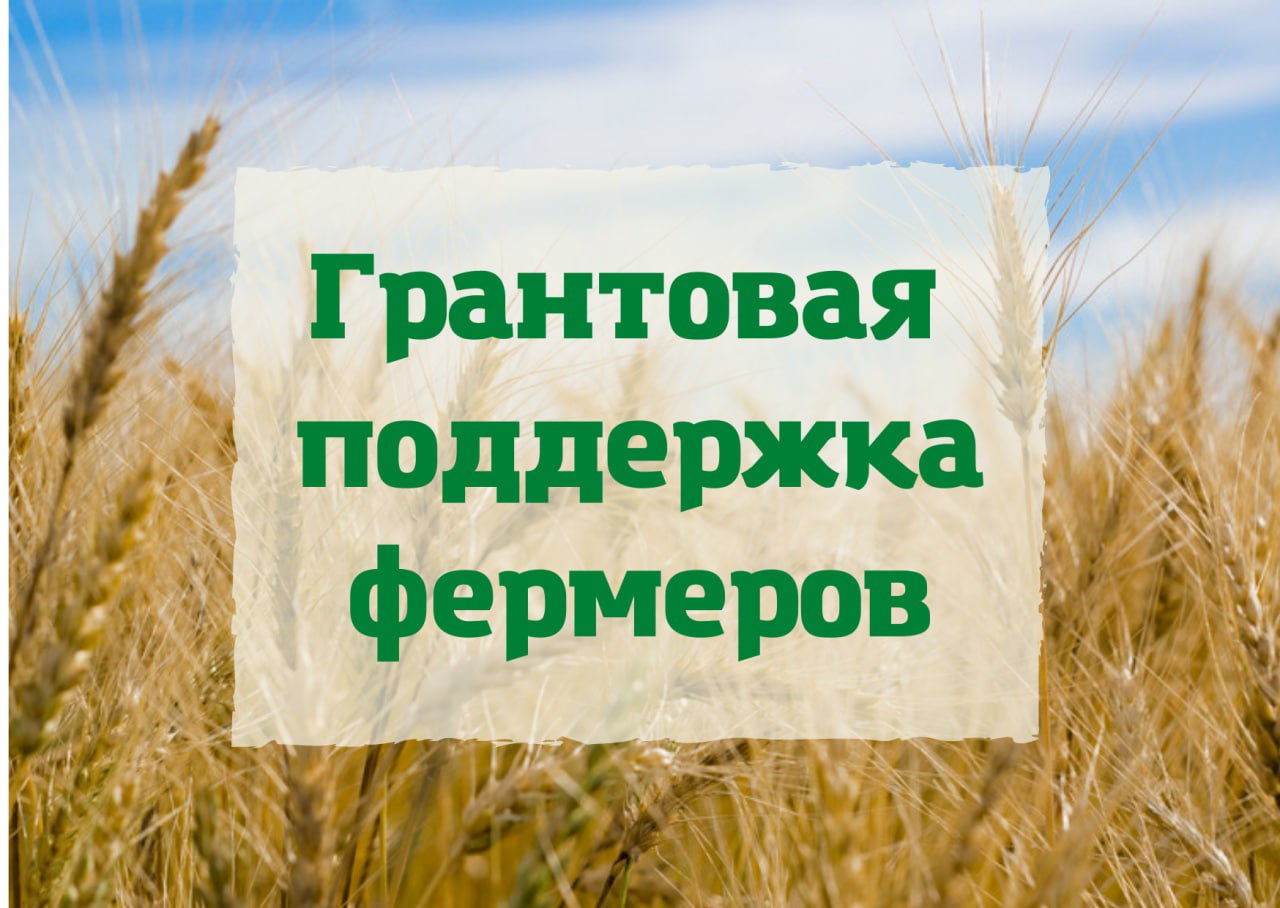 «Агромотиватор» – грант на начало предпринимательской деятельности в сельском хозяйстве для участников и ветеранов специальной военной операции.