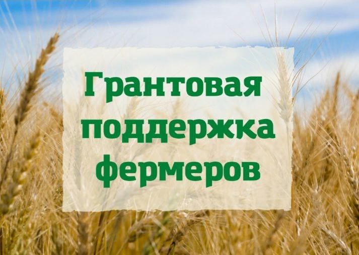 Объявлен конкурсный отбор получателей гранта &quot;Агростартап&quot;.