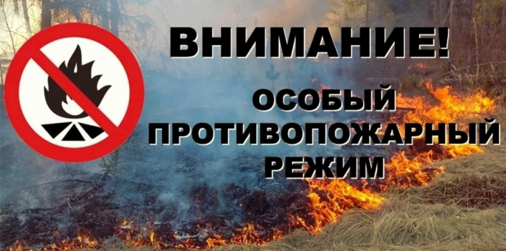 Об установлении особого противопожарного режима на территории Алтайского края.